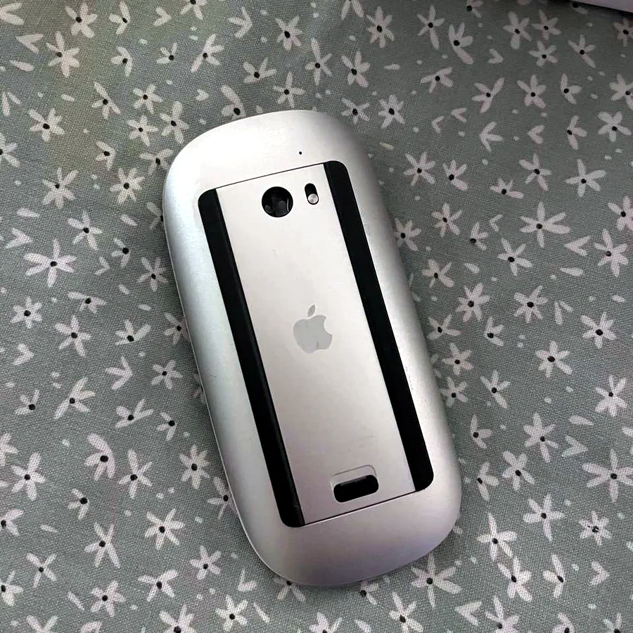 Magic Mouse