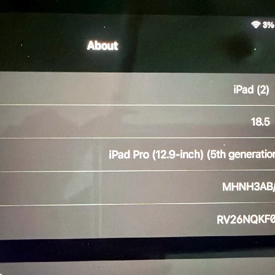 iPad Pro