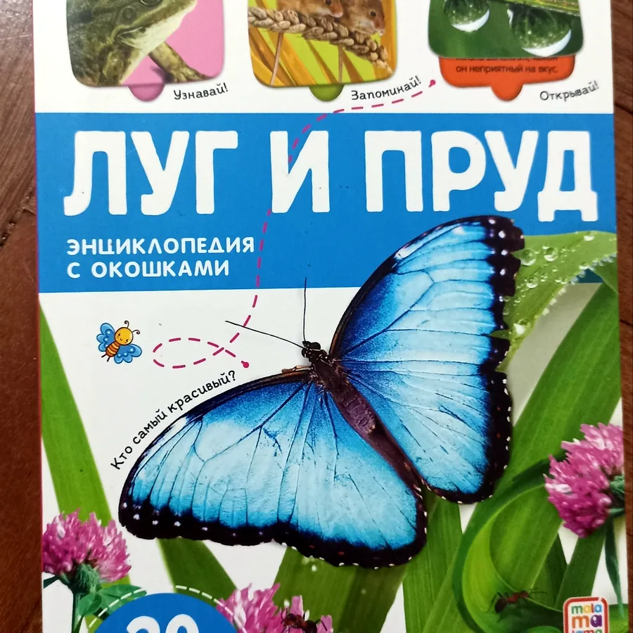 Книга с окошками Луг и пруд