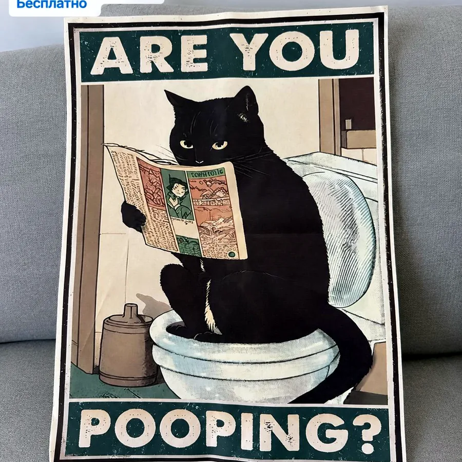 Постер с котиком