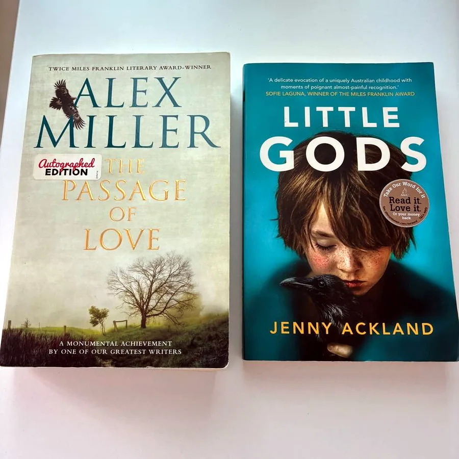 2 книги на английском: Little Gods и The Passage of Love