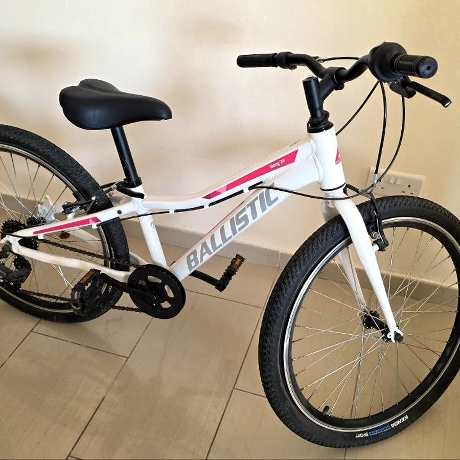 Велосипед Ballistic Berg24