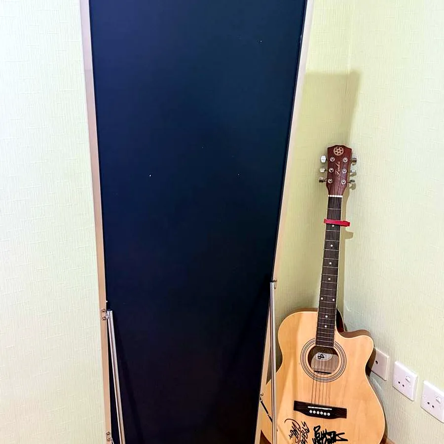 Зеркало в полный рост, 42x152 см