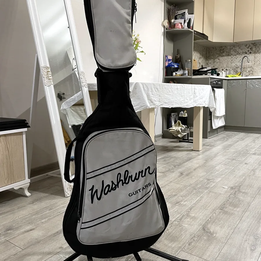 Электрогитара Washburn Pro X10, отличное состояние