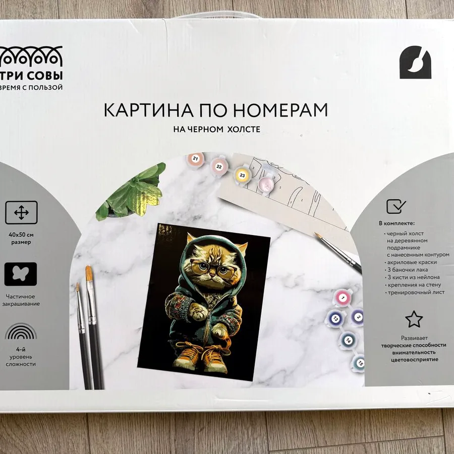 Картина по номерам 40х50 см