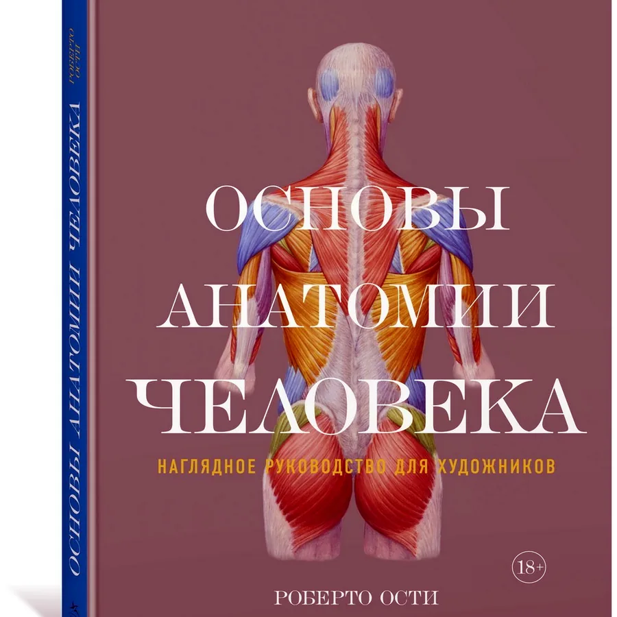 Роберто Ости, «Основы анатомии человека»