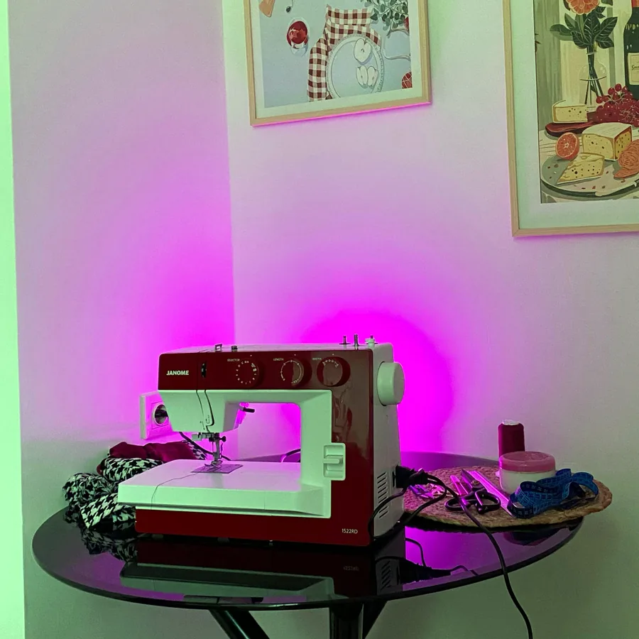 Швейная машинка Janome 1522