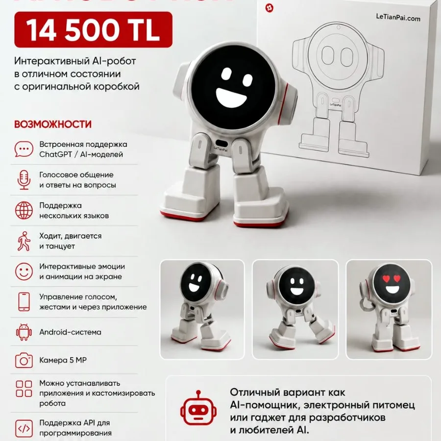 AI Robot Rux