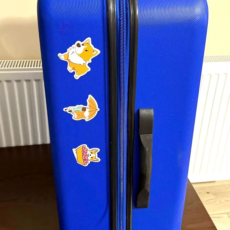 Чемодан 67x45x29 см