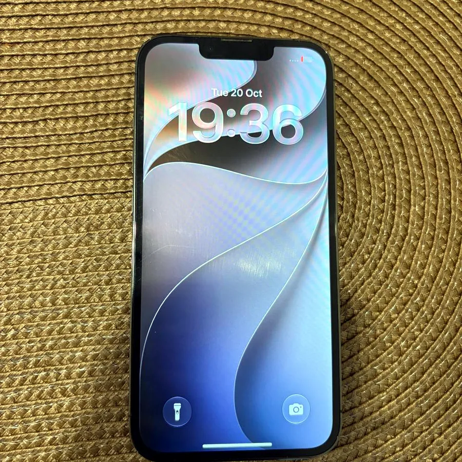 iPhone 13 Pro, 256 GB, батарея 100%