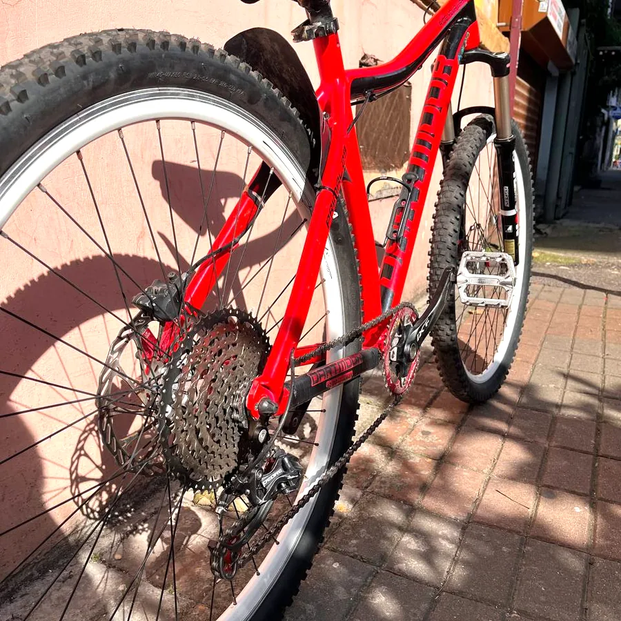 Велосипед Dartmoor Primal 29, 2017