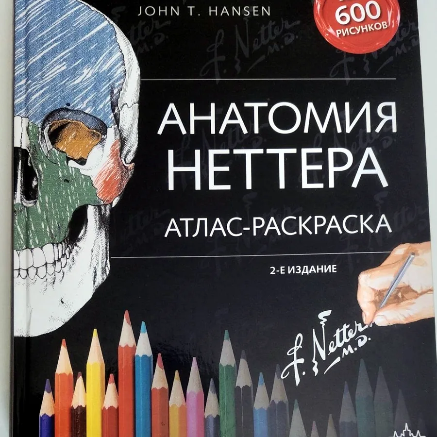 Анатомическая раскраска