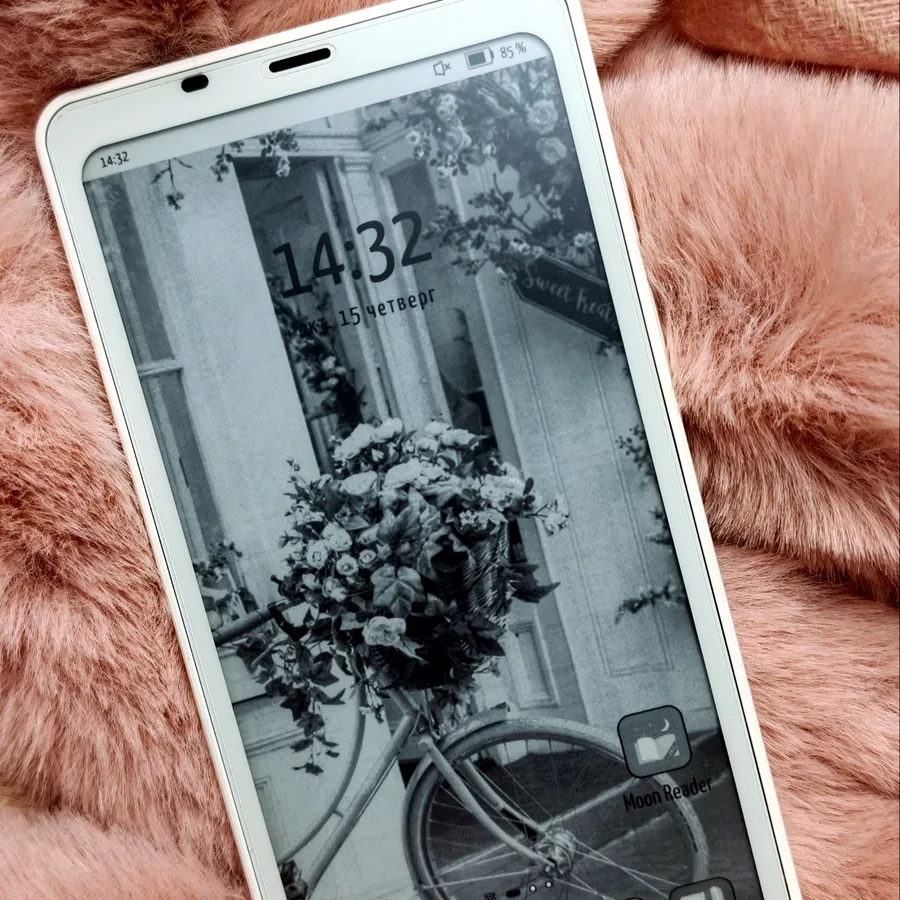 Электронная читалка Onyx Boox Palma