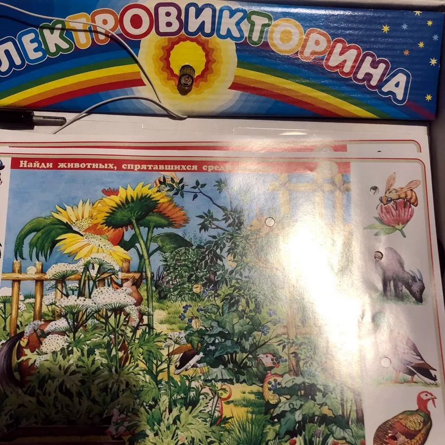 Электронная викторина «В мире животных»