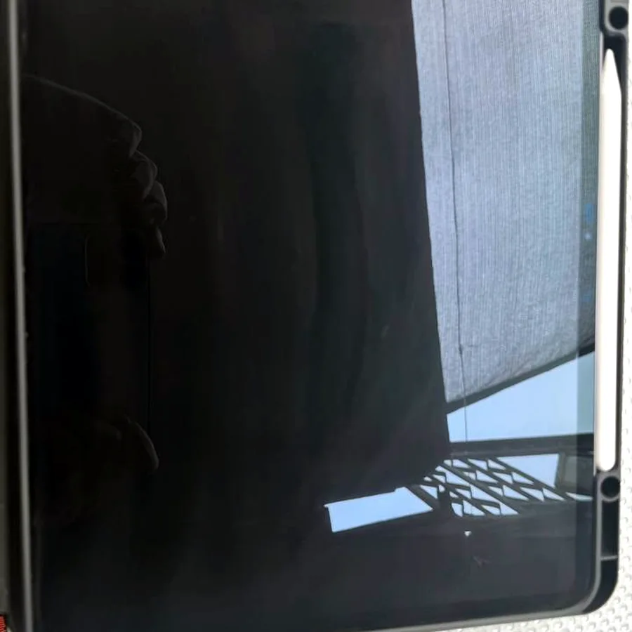 iPad Pro M4 13 дюймов, 256 GB с Apple Pencil Pro