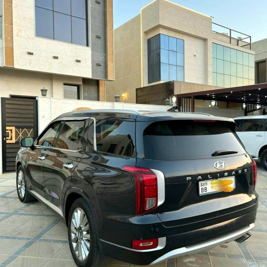 Hyundai Palisade 2020, американская версия