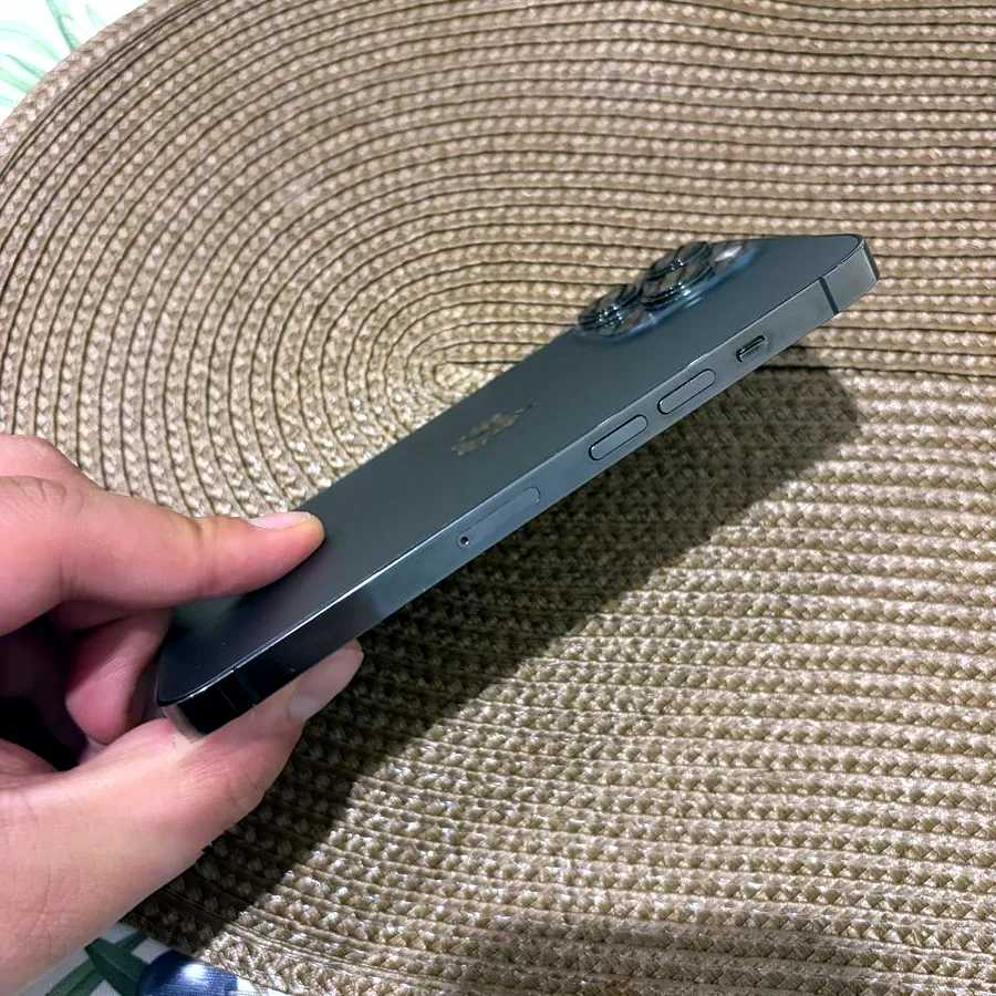 iPhone 13 Pro, 256 GB, батарея 100%