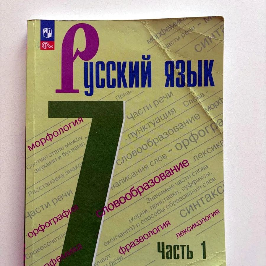 Русский язык 7 класс, 1 часть